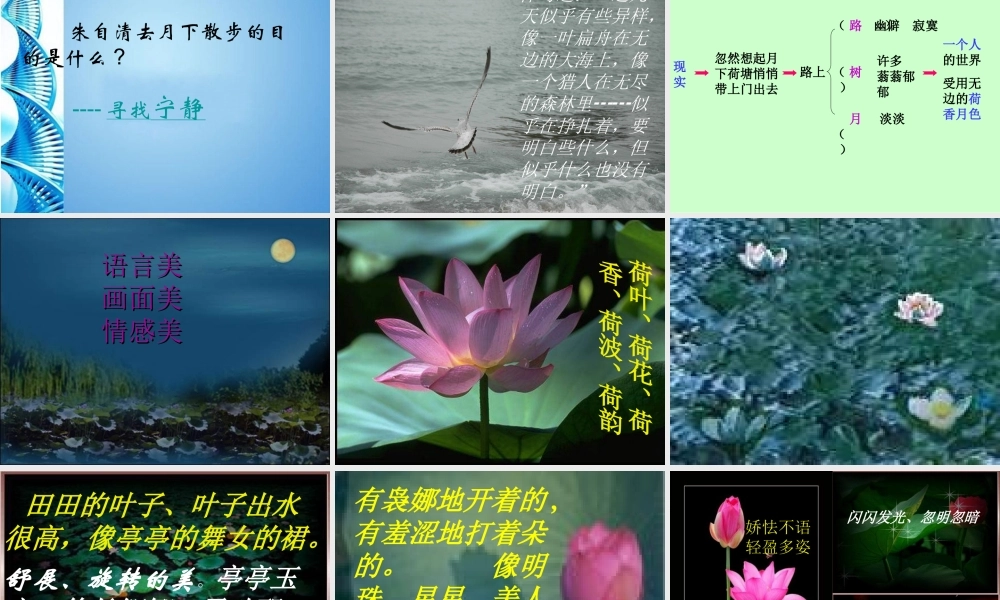 高中语文 第一单元第1课(荷塘月色)课件 新人教版必修2 课件