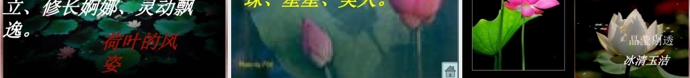 高中语文 第一单元第1课(荷塘月色)课件 新人教版必修2 课件