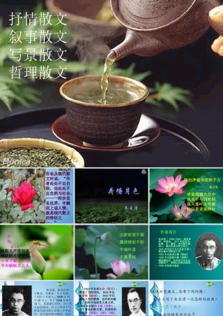 高中语文 第一单元第1课(荷塘月色)课件 新人教版必修2 课件