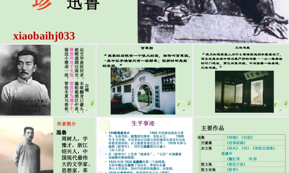 高中语文 记念刘和珍君课件1 课件