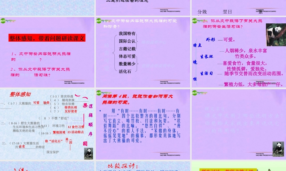 江苏省地区七年级语文下册 国宝大熊猫课件 人教新课标版 课件