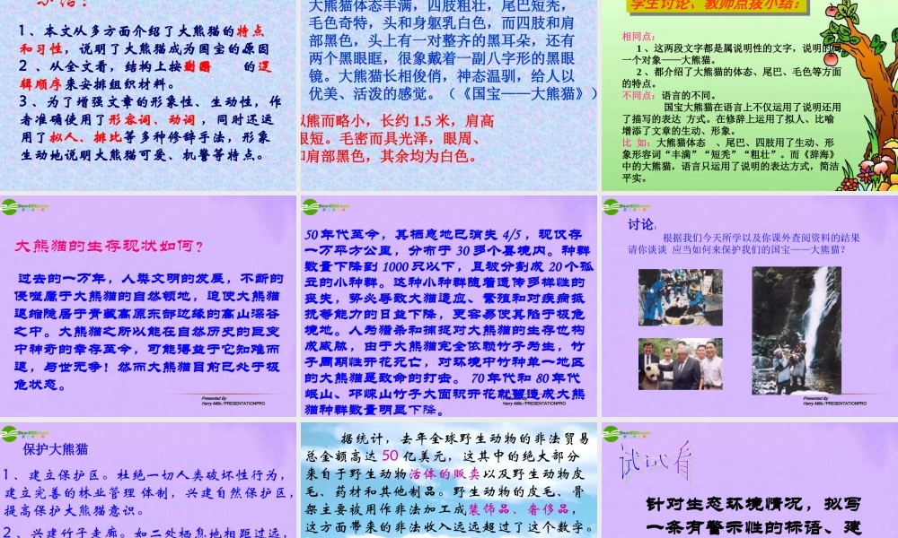 江苏省地区七年级语文下册 国宝大熊猫课件 人教新课标版 课件