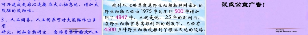 江苏省地区七年级语文下册 国宝大熊猫课件 人教新课标版 课件