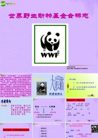 江苏省地区七年级语文下册 国宝大熊猫课件 人教新课标版 课件