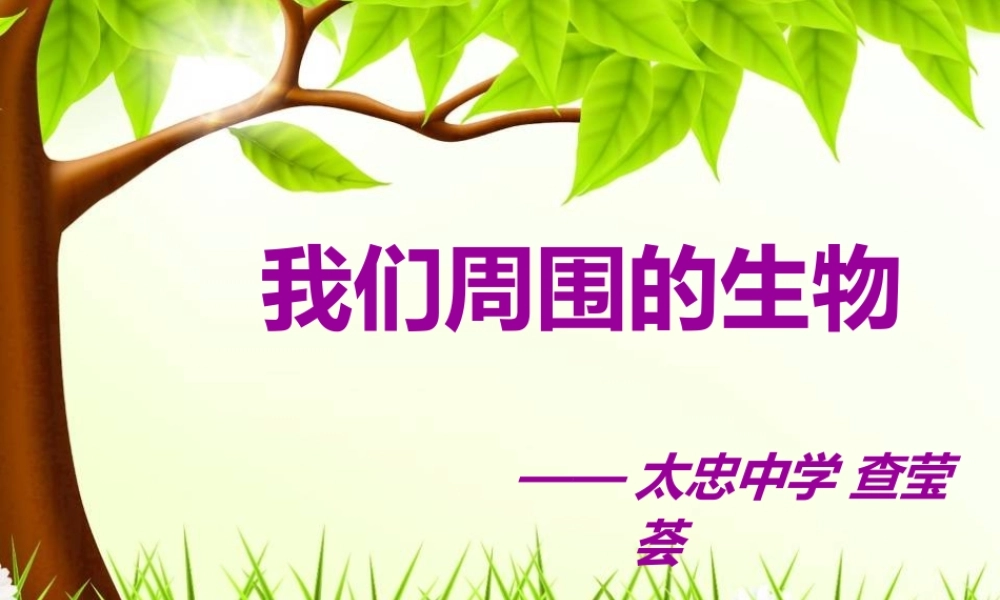 我们周围的生物