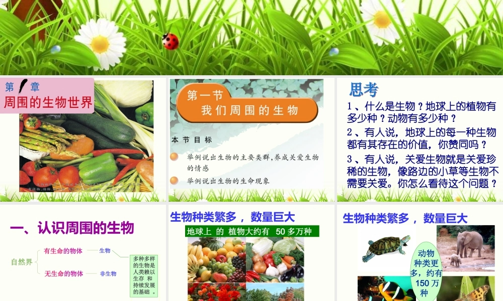 我们周围的生物