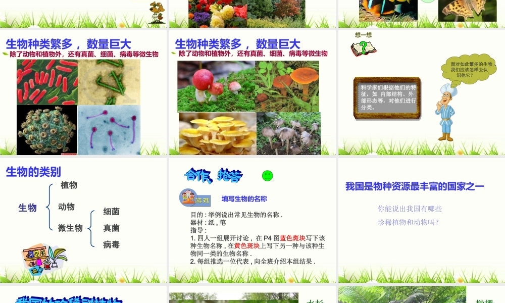 我们周围的生物