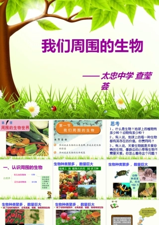 我们周围的生物