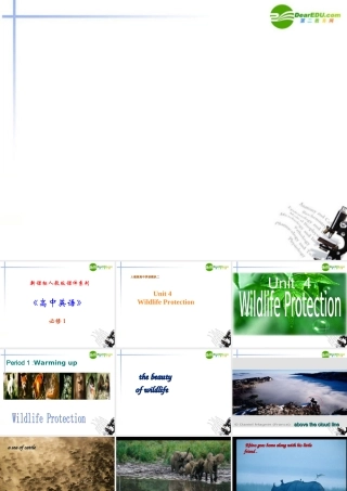 高中英语 41(Unit4　Wildlife Protection)课件 新人教版必修1 课件