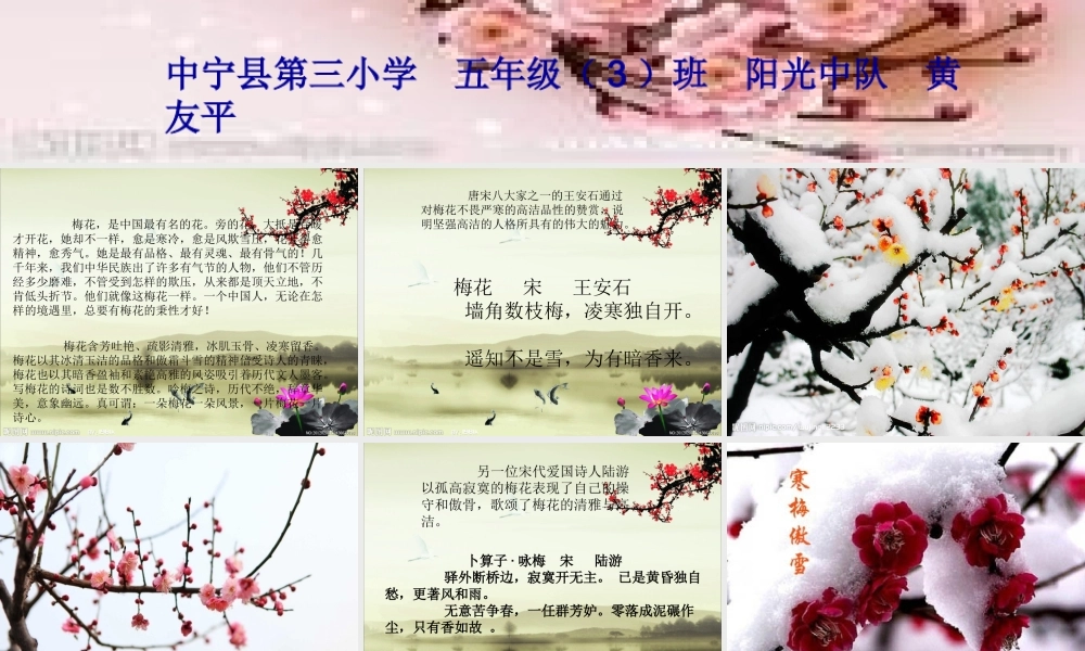 《梅花开在诗词里》朗诵课件(黄友平)2012年9月
