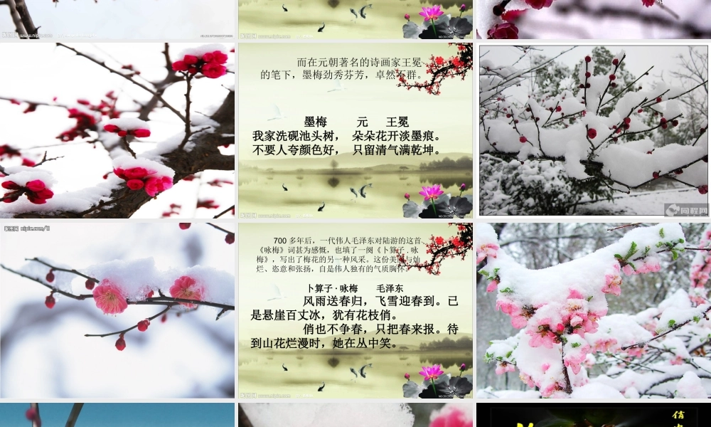 《梅花开在诗词里》朗诵课件(黄友平)2012年9月
