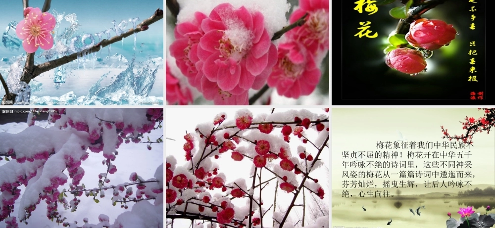 《梅花开在诗词里》朗诵课件(黄友平)2012年9月