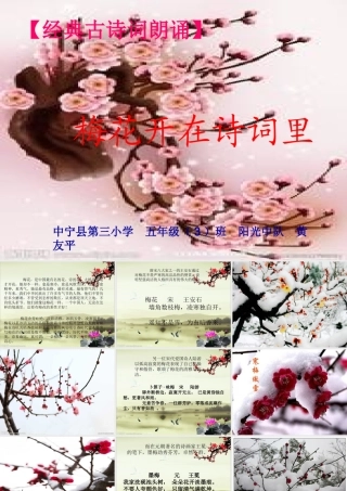 《梅花开在诗词里》朗诵课件(黄友平)2012年9月