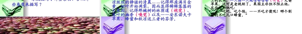 高中语文：(安东诺夫卡苹果)(苏教版选修)课件之四 课件
