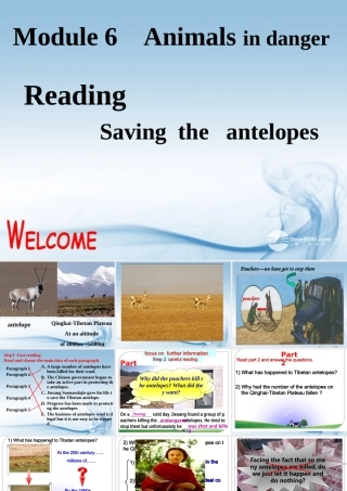 高中英语 Module 6 Reading1精品课件 外研版必修5 课件