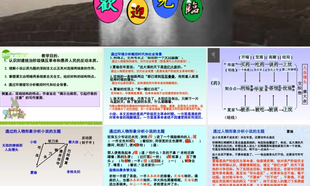 高三语文下册 药课课件 人教版第六册 课件
