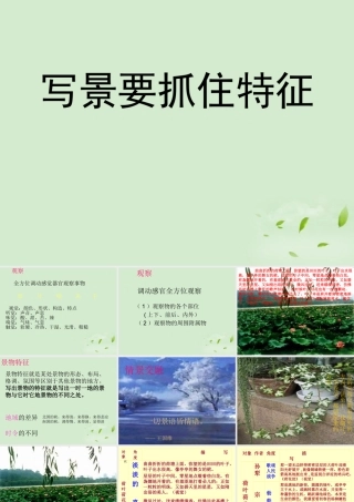 高中语文 (亲近自然：写景要抓住特征)课件 新人教版必修1 课件