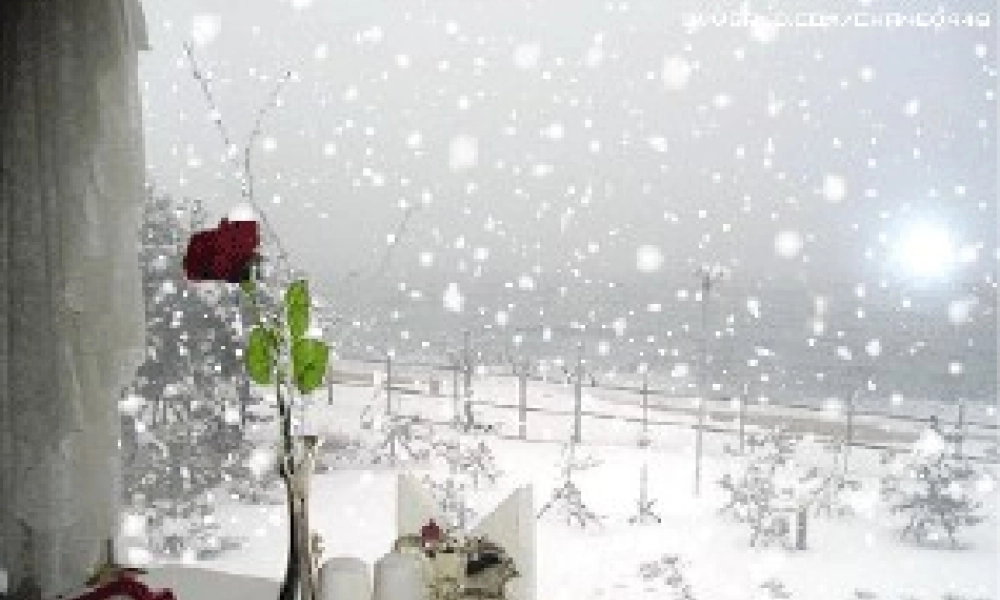 童谣《不怕冷》