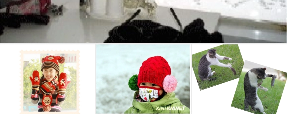 童谣《不怕冷》