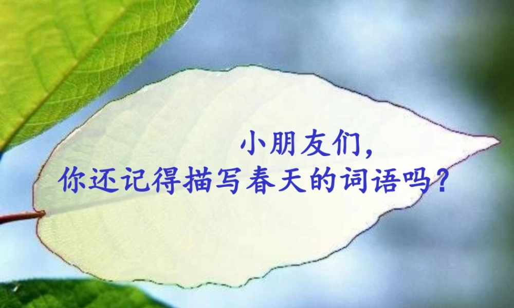 《春雨的色彩》课件