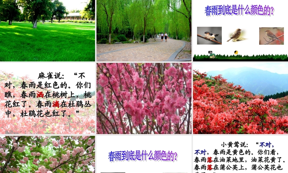 《春雨的色彩》课件