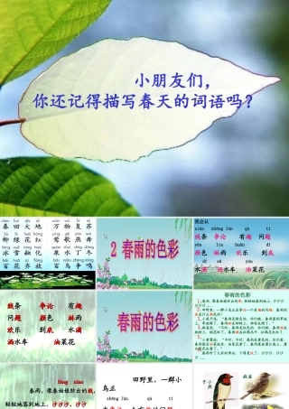 《春雨的色彩》课件
