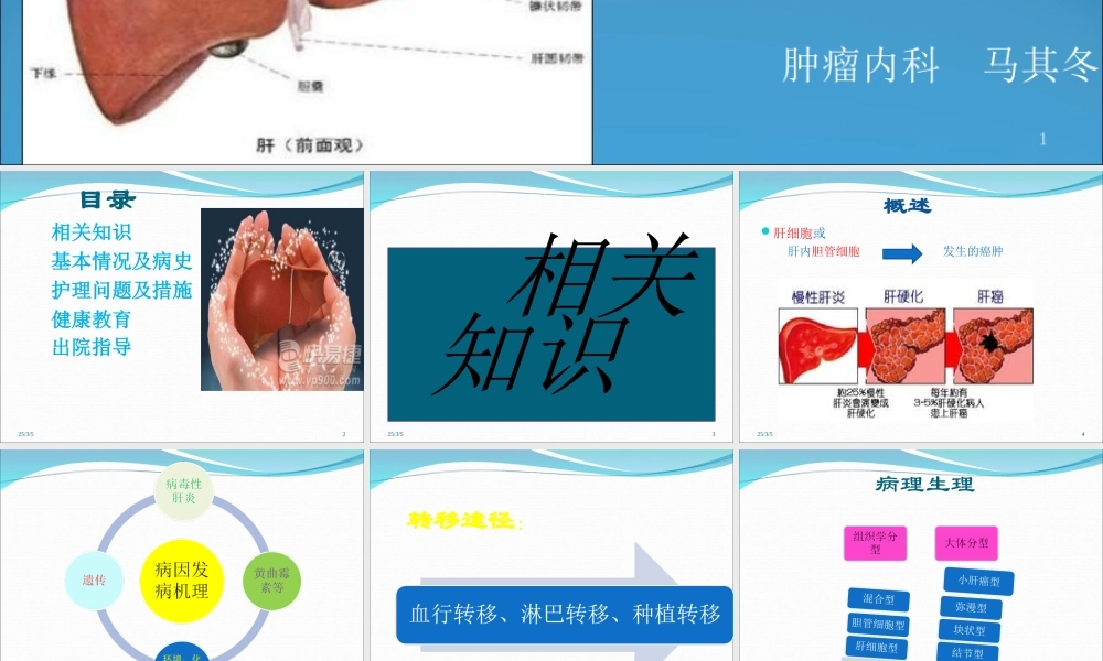 肝 癌 护 理 查 房