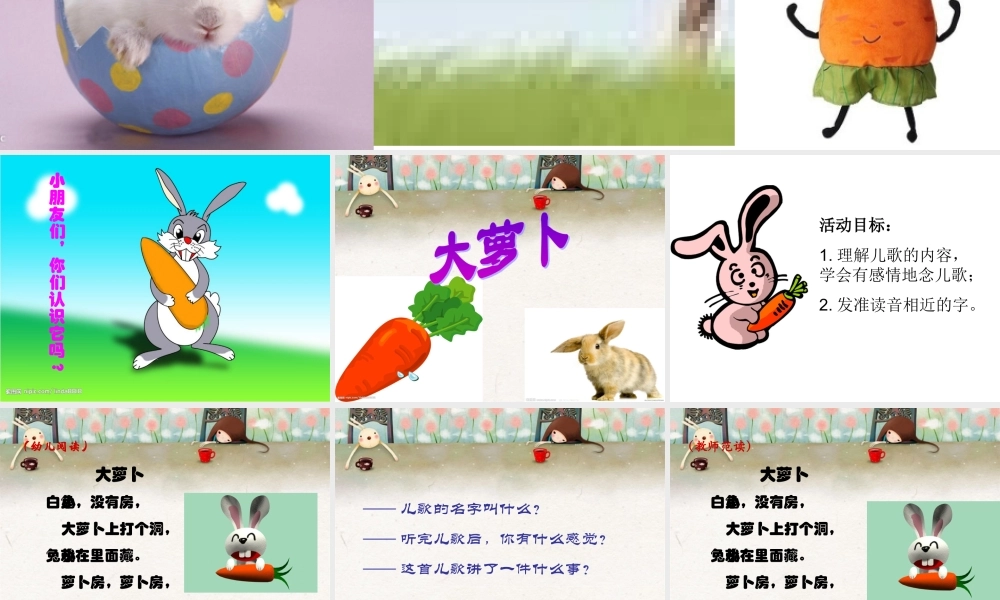 《大萝卜》(幼儿园中班PPT课件)+(2)