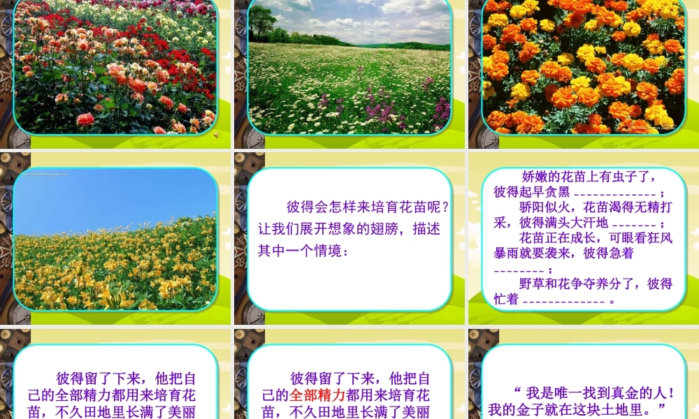 《金子》-PPT