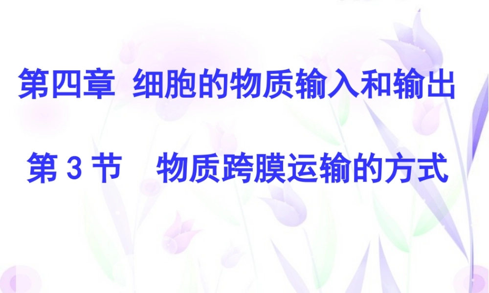 物质跨膜运输的方式