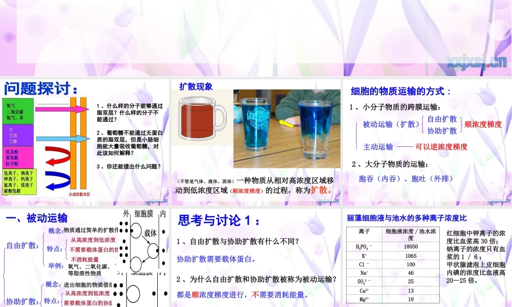 物质跨膜运输的方式
