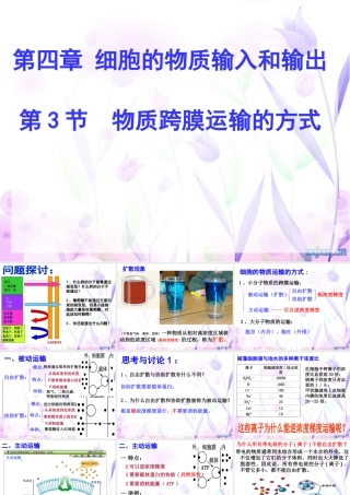 物质跨膜运输的方式