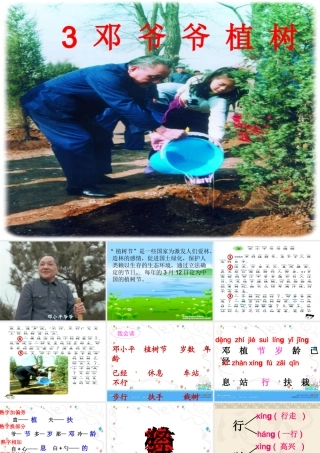 《邓小平爷爷植树》课件