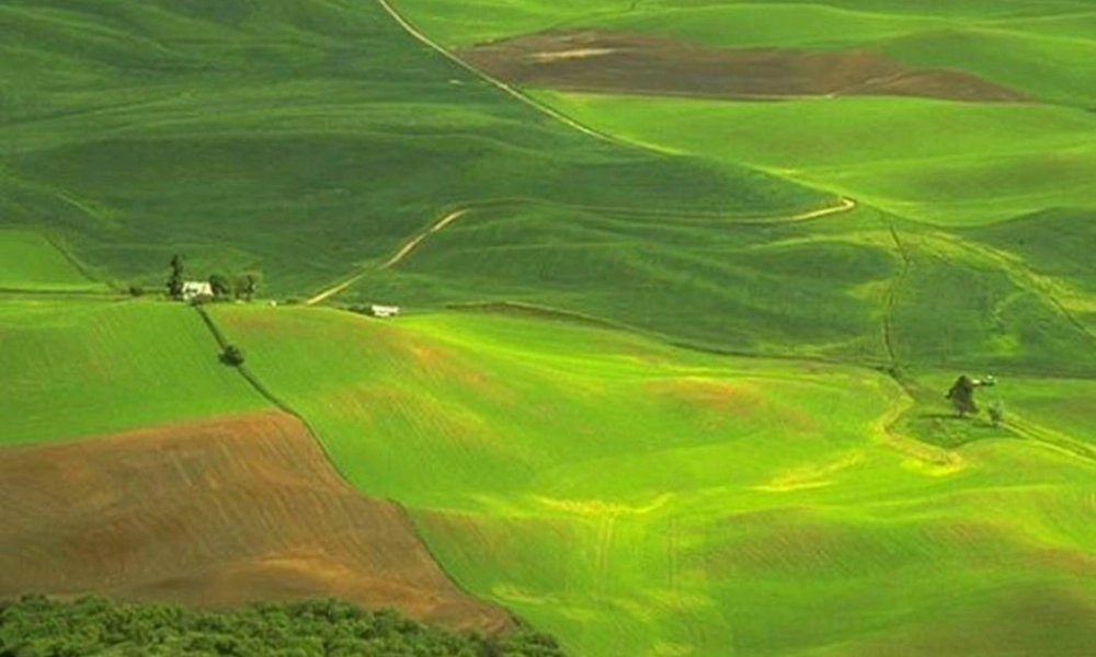 比赛《春》课件