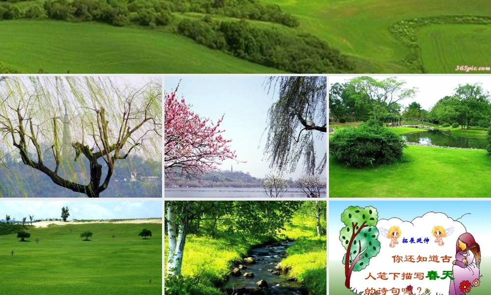 比赛《春》课件