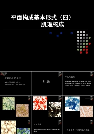 平面构成基本形式(肌理构成)