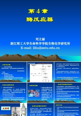 酶工程--第4章-酶反应器