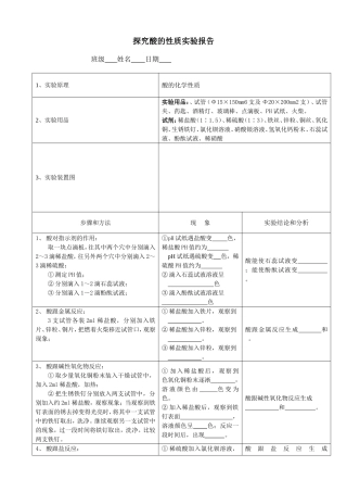 13酸的性质实验报告
