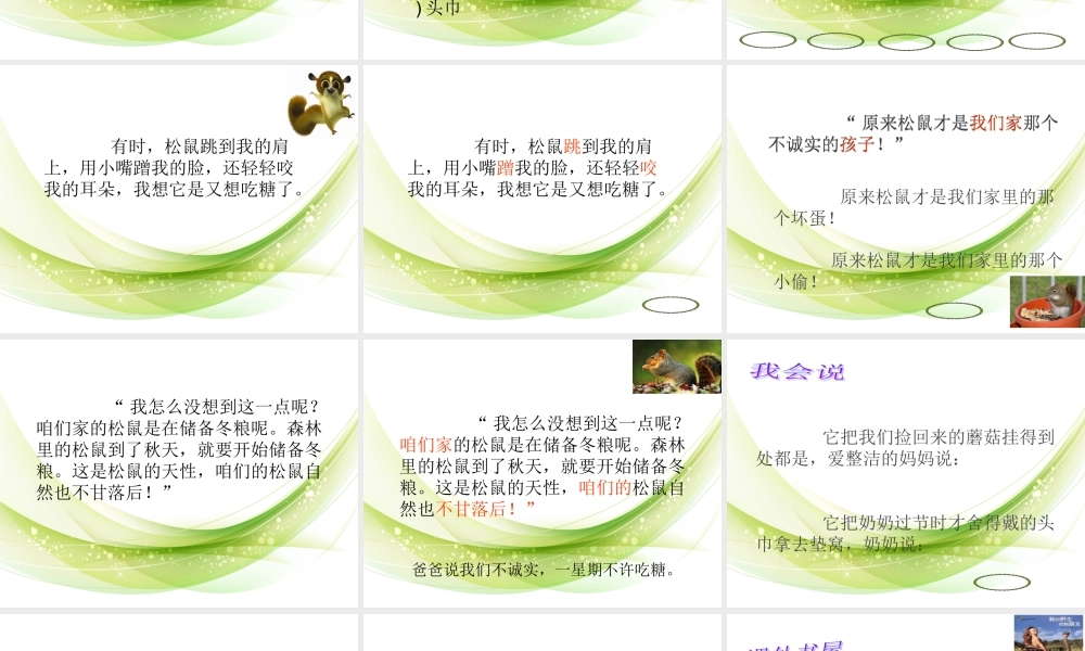 跑进我家的松鼠