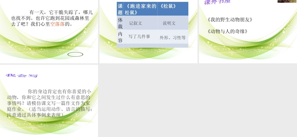 跑进我家的松鼠