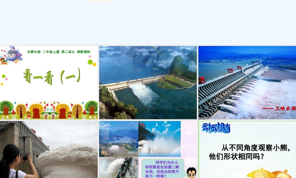 小学数学北师大2011课标版三年级看一看(一).看一看(一)