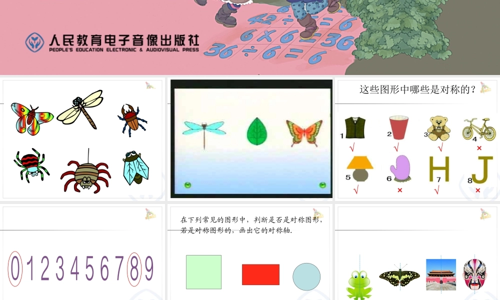 轴对称图形教学(使用版本)李明君