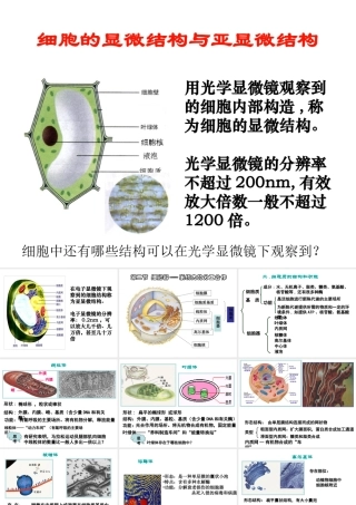 细胞的显微结构与亚显微结构