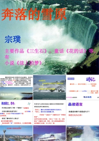 奔落的雪原--课件