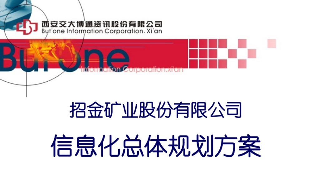 招金信息化规划方案
