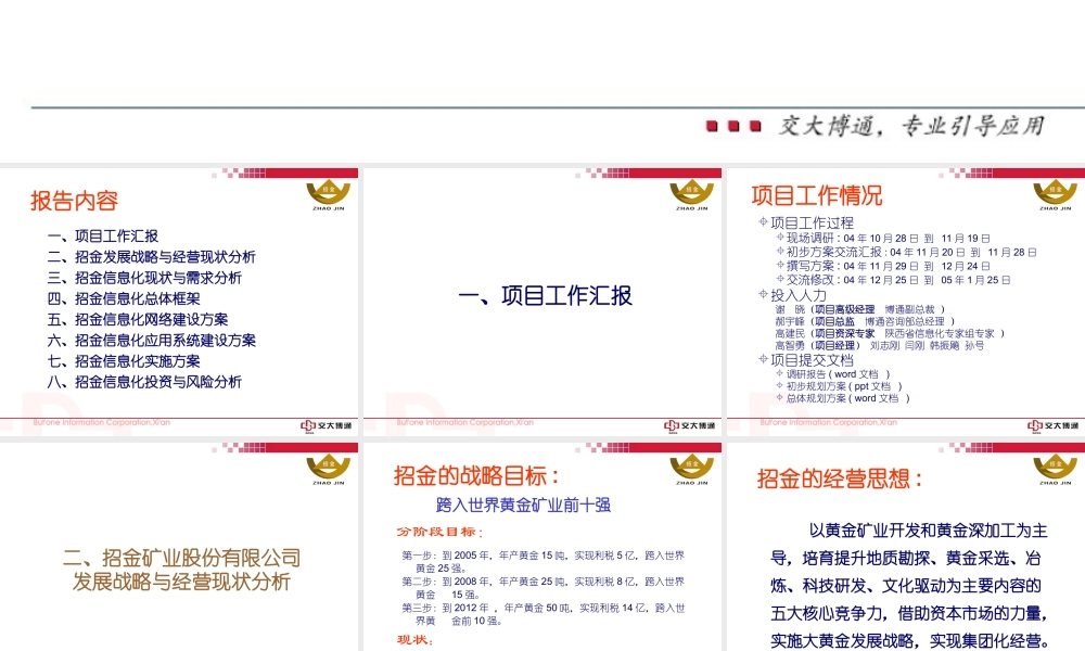招金信息化规划方案