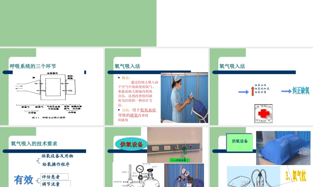 氧气吸入法ppt课件