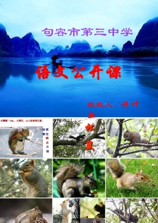 《松鼠》课件4