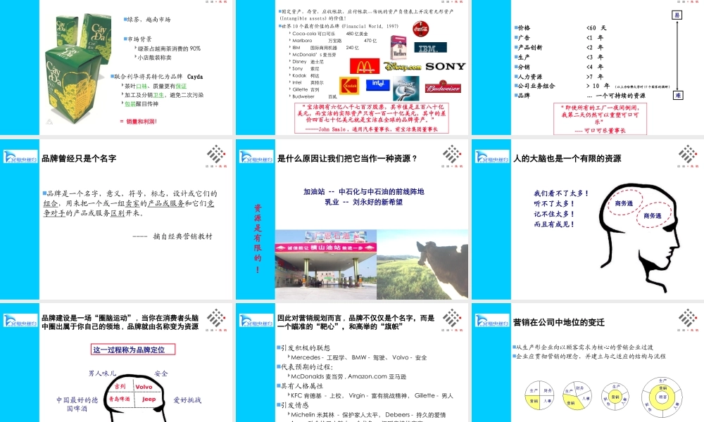 品牌导向的营销规划