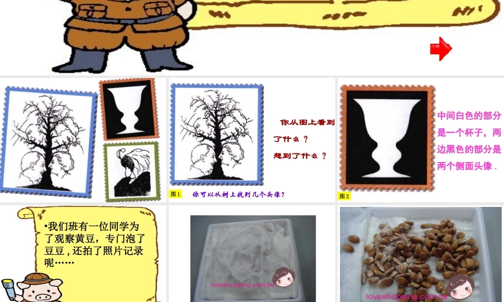 四年级上册语文_第二单元_观察日记_习作